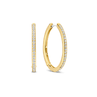 Earrings Ti Sento Milano Woman in Silver Zircone 7789ZY